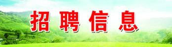 图片信息